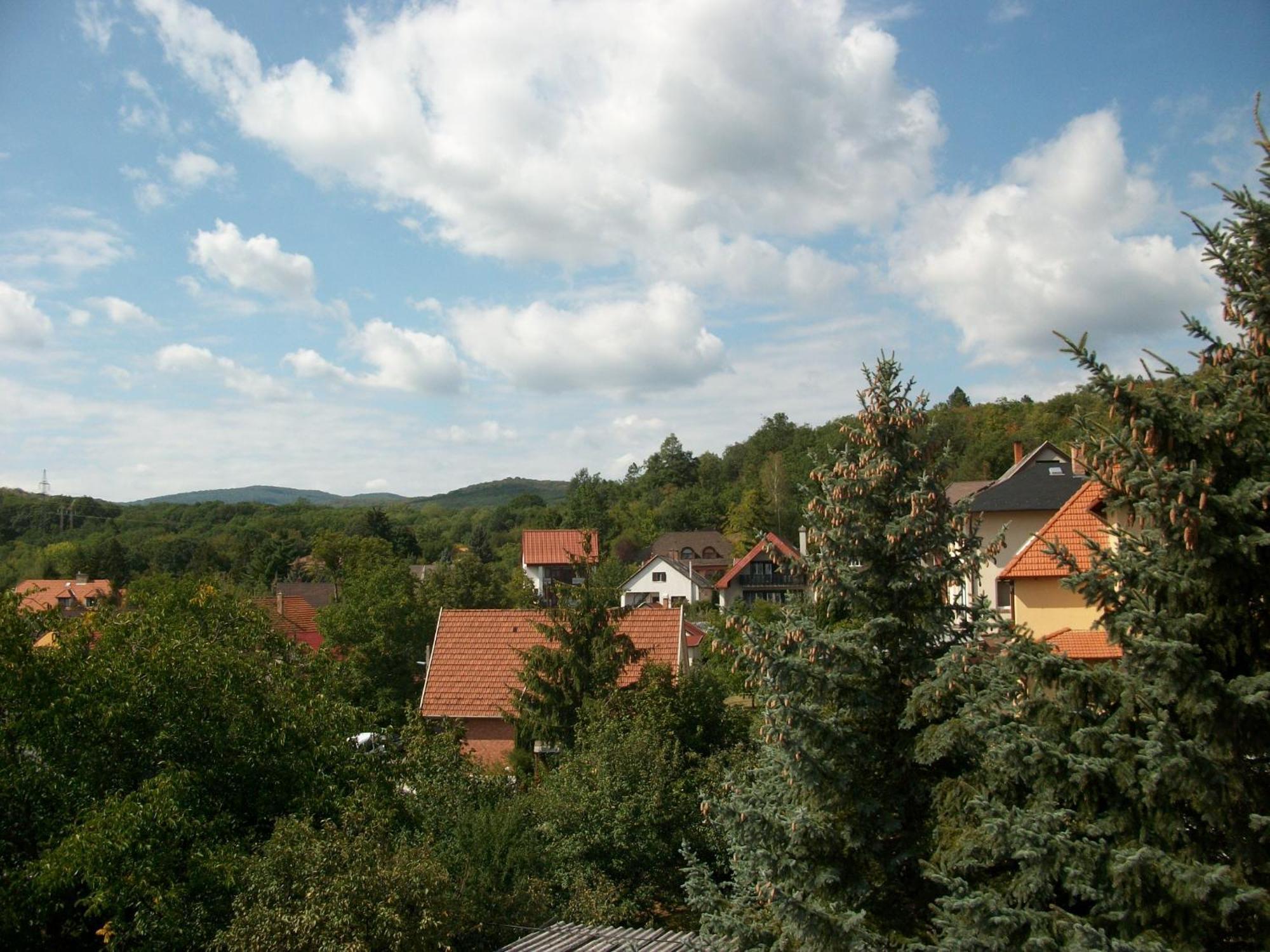 Szamoca Vendeghaz Hotel Miskolc Eksteriør billede